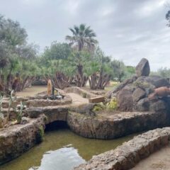 fontanella-20
